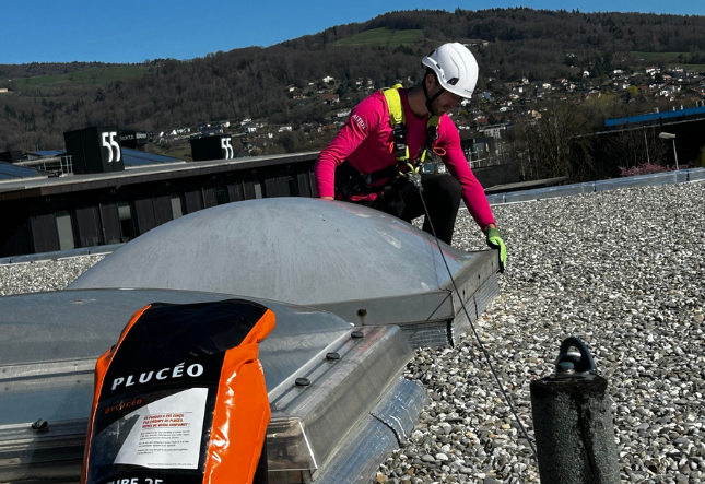 installation ligne de vie verticale