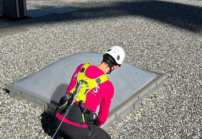 Ligne de vie verticale