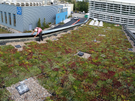 Ligne de vie sur toiture végétalisée - CERN