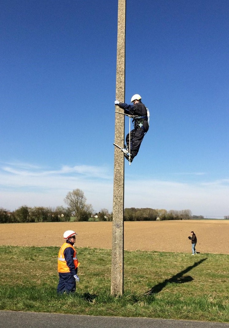 pylône en bois basse tension